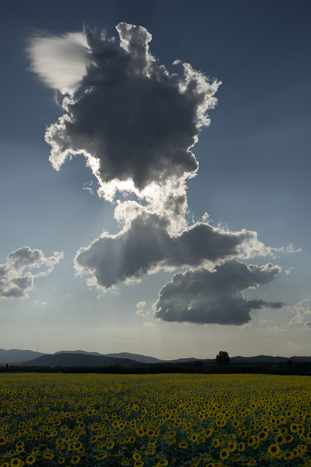 Toscaanse Wolken